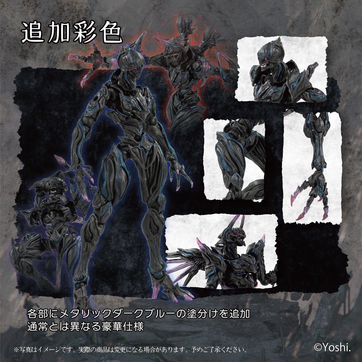 STUDIO SO-TA STORE限定 紡ギ箱～第3節～ IZON.セット』 スタジオ