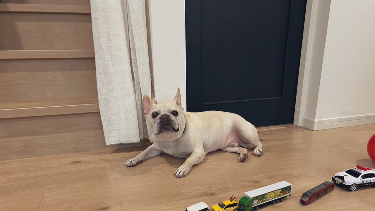 あやか🧡💙 (@ayaka413) / Posts / X