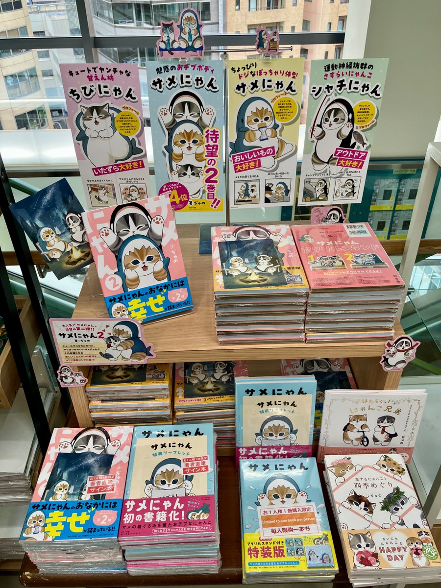 ニャンニャン レディコミ14冊セット ニャンニャン レディコミ14冊