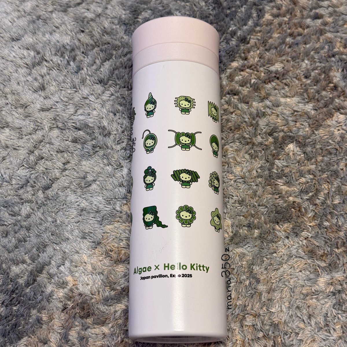 全然検索とかに掛からないし話題になってないけど、 万博の日本館で