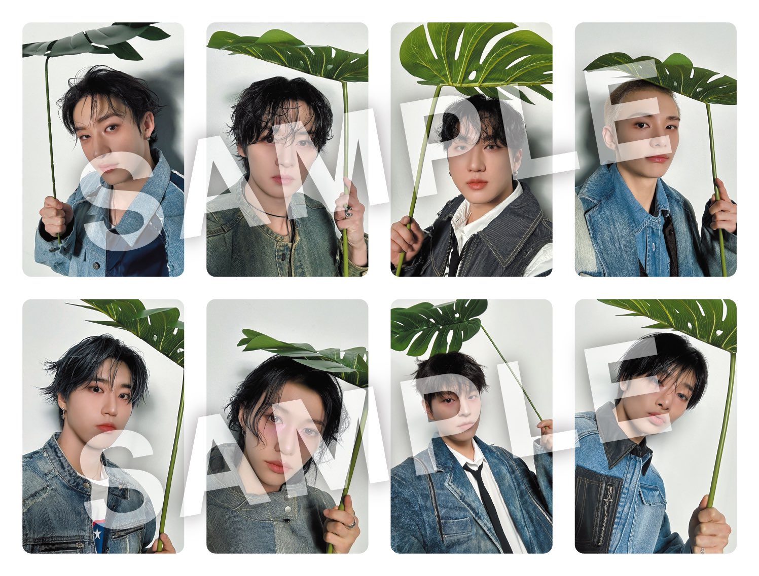 Stray Kids スキズ リノ タワレコ 当選 ポラロイド ALL IN Stray Kids