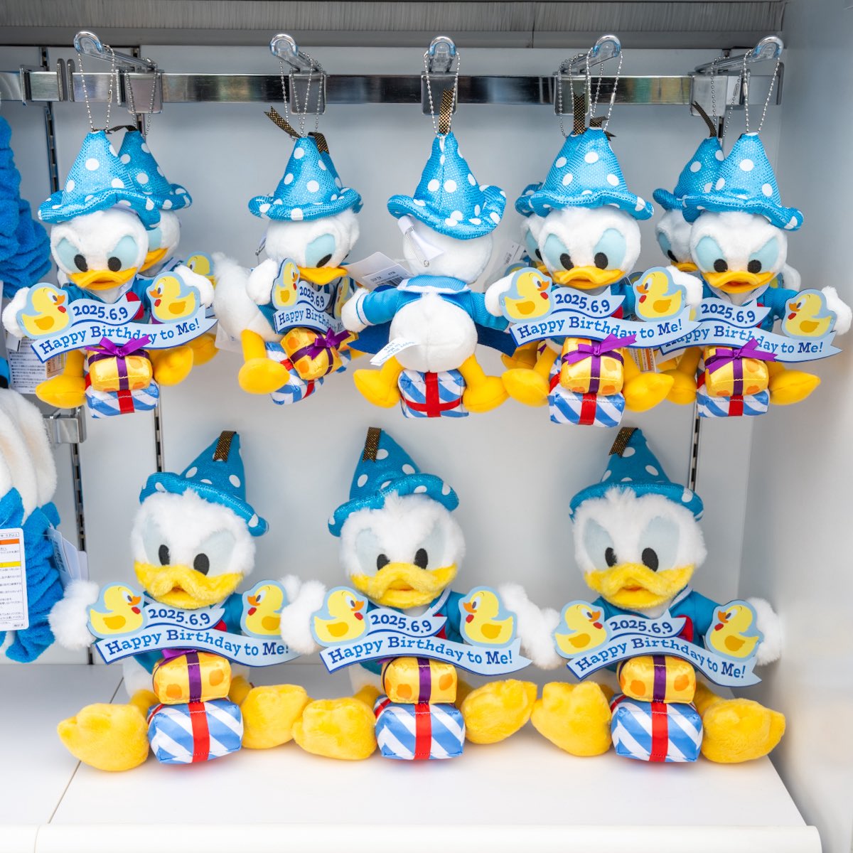 2025年のお誕生日をお祝い！ 東京ディズニーリゾート 「ドナルドダック