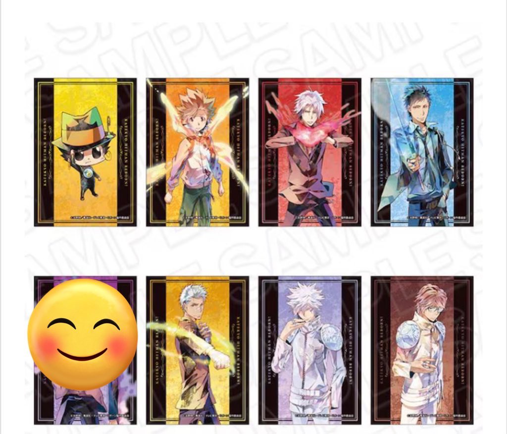 交換/譲渡】 家庭教師ヒットマンREBORN! ブロマイドセット 未来編ver