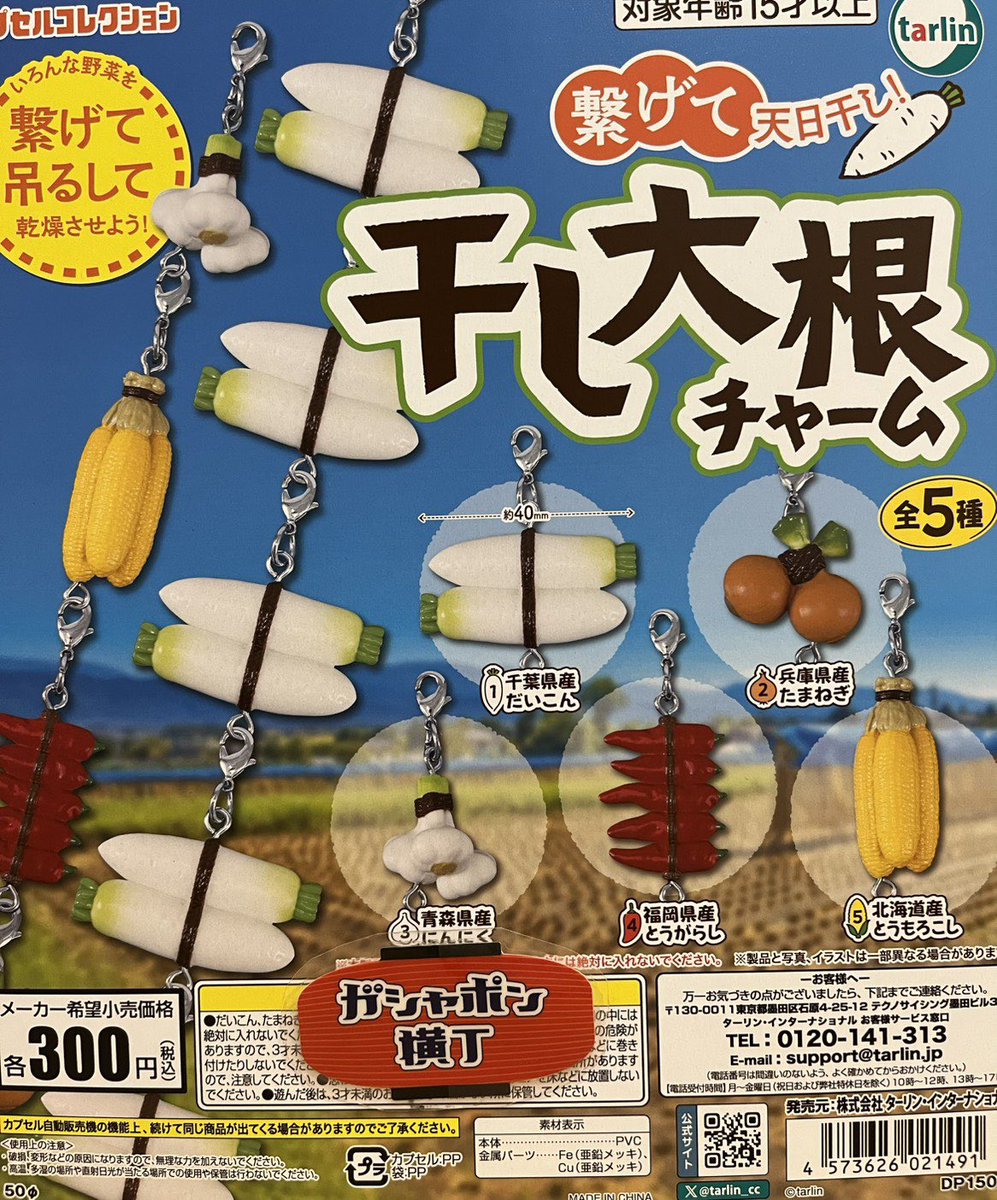 2月13日(金)入荷情報②／ 🦜まんまるとりパック3 🦤動じない鳥