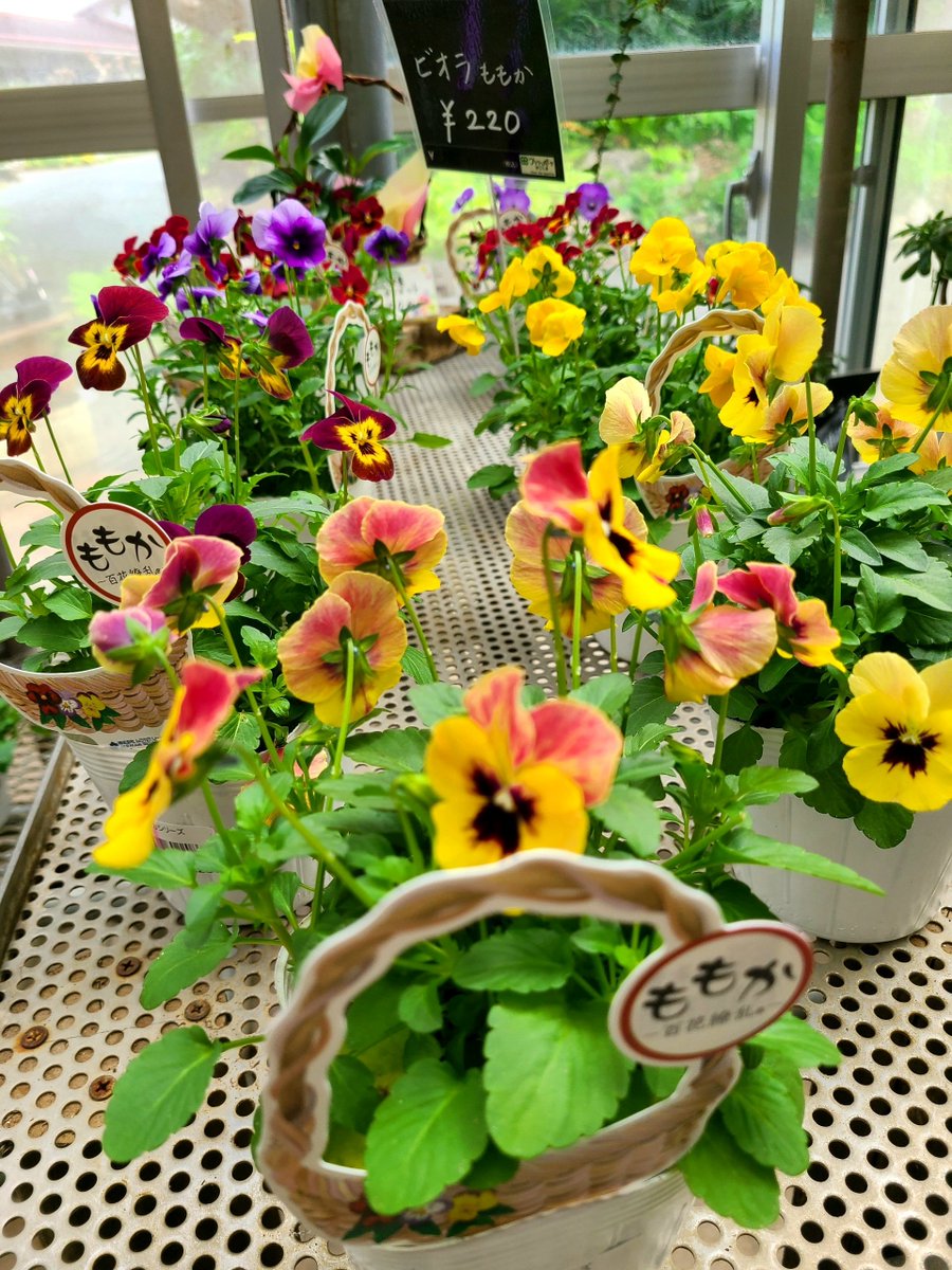 Flowers Community on X - 139.5K Members