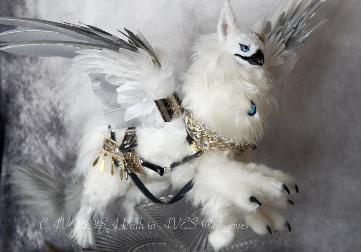 CAVALISA/アートドール作家 (@to_aves) / Posts / X