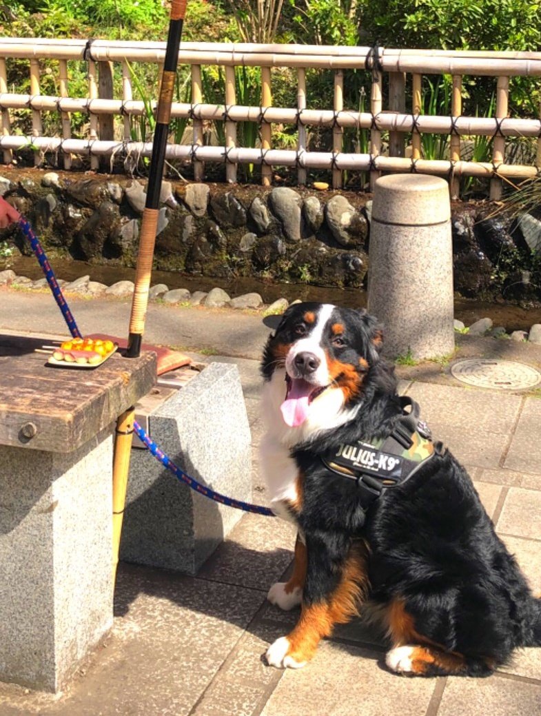 ここあ (@coco_bmd) / Posts / X