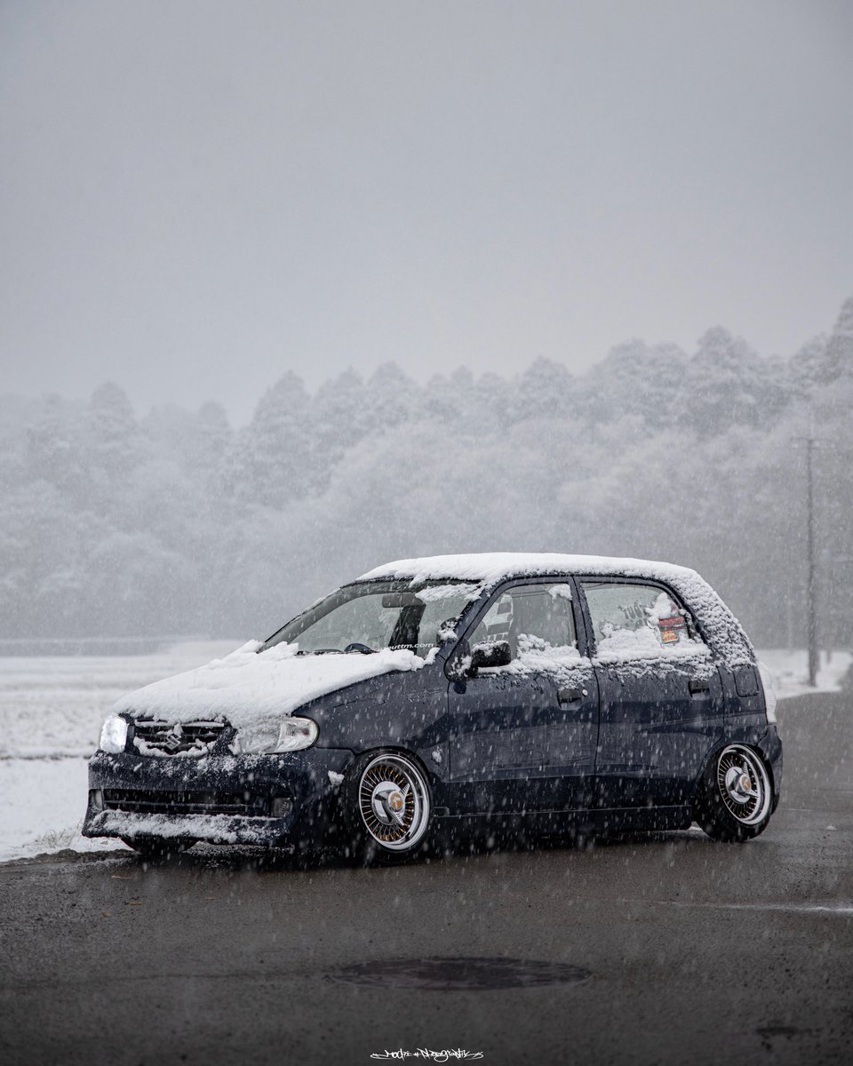 Post by もち2号 mochi#photography on X: 🥶🥶🥶