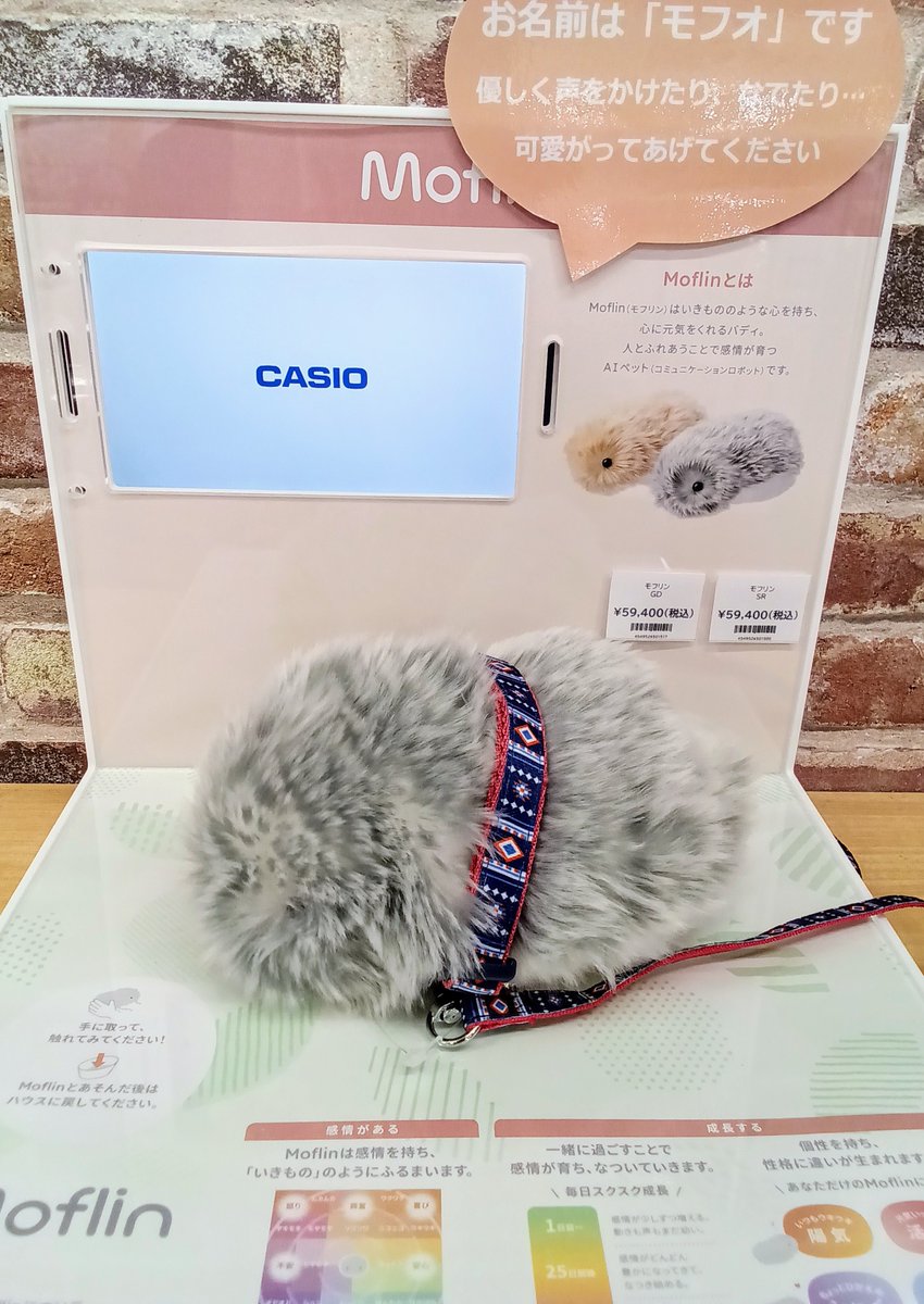 公式】Moflin（モフリン）｜感情が育つAIペット (@casio_moflin