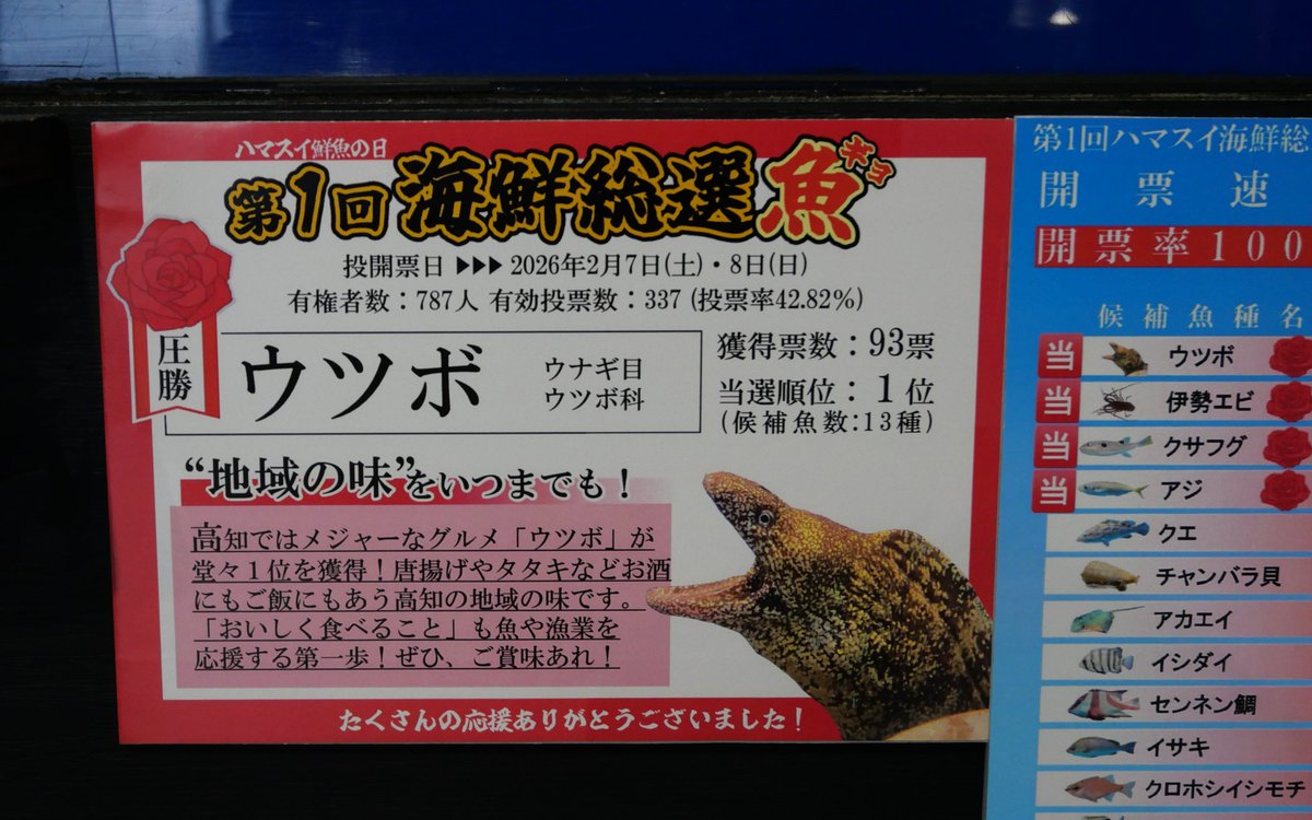 ゆ੭ੇ㇟ょ੭ੇ🥇 #桂浜水族館