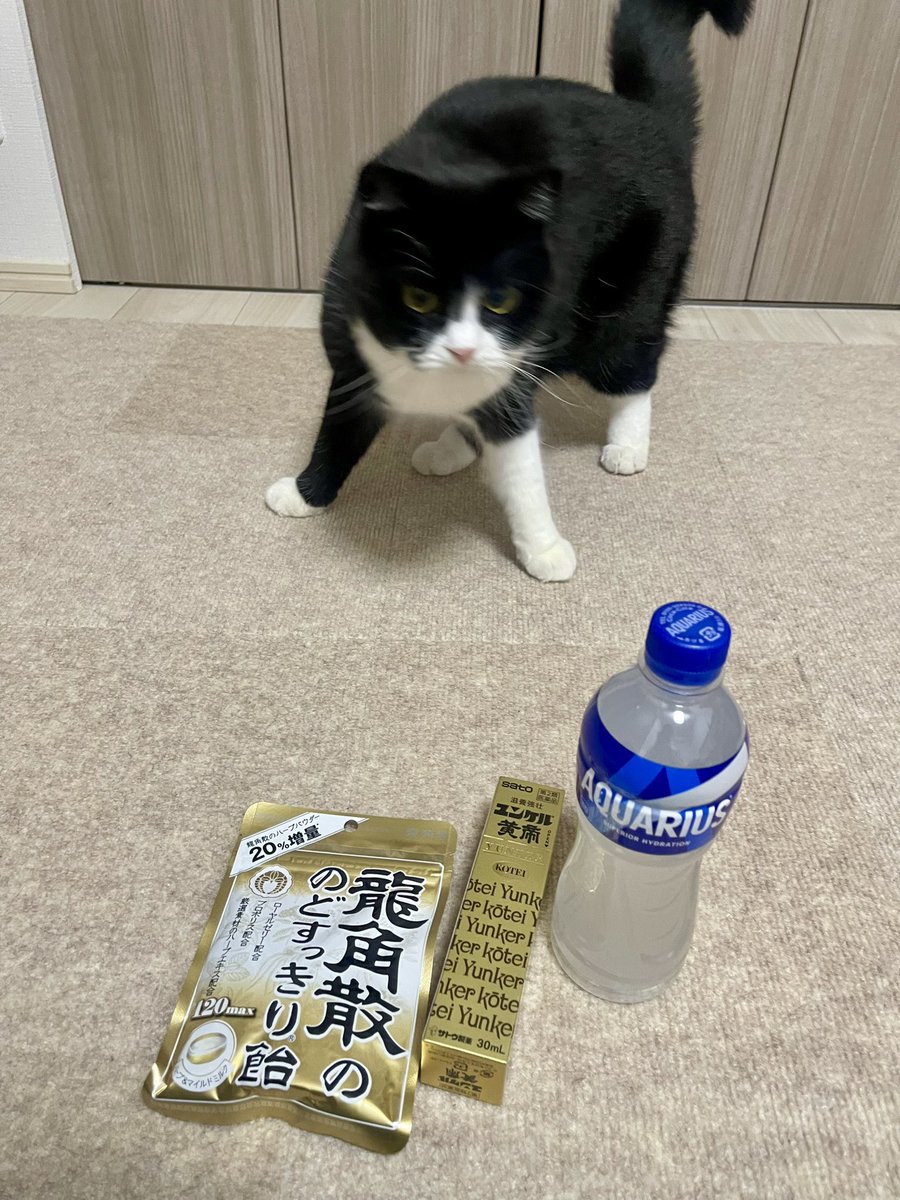 たろう (@taro20216) / Posts / X