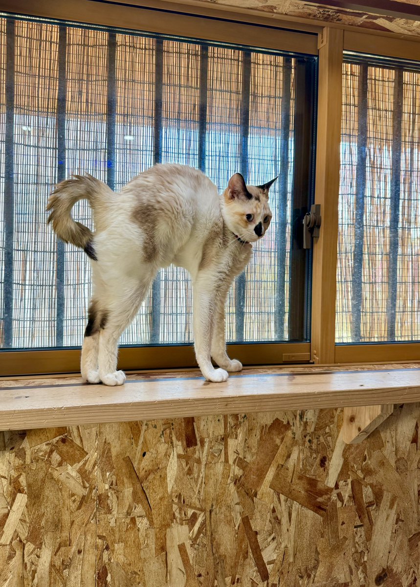 まめちゃん、手足長かったんやな！！！！