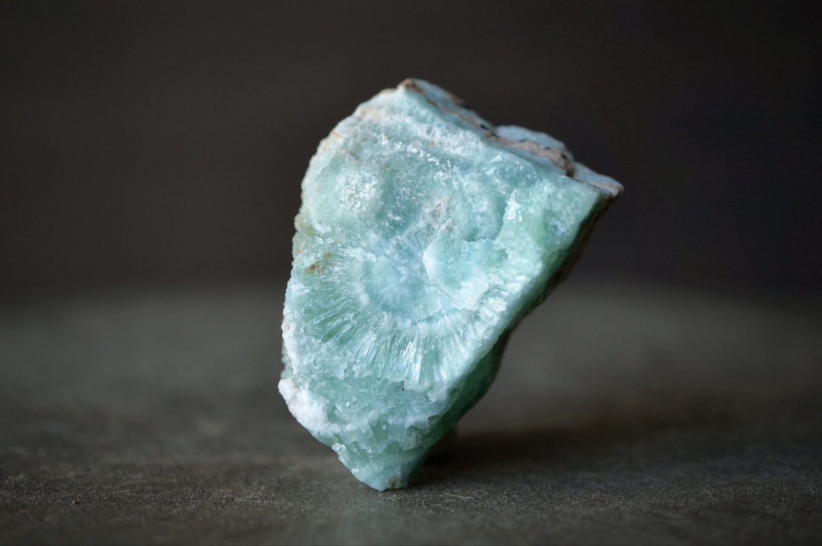 叙景 jokei 鉱物 / 風景石 / 化石 /水石 (@jokei__) / Posts / X