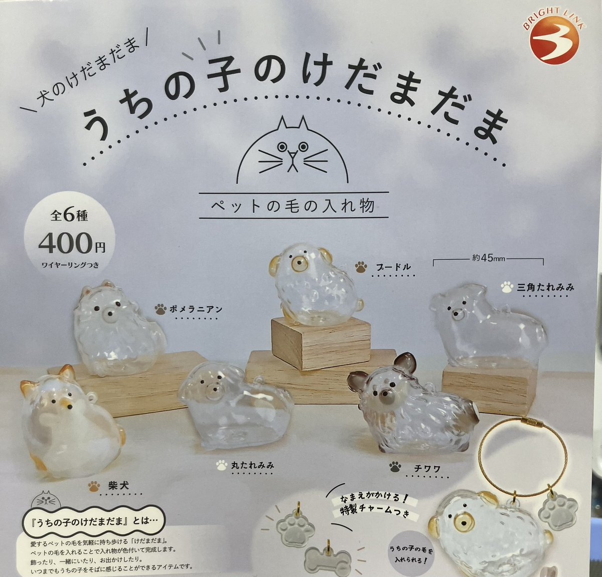 ❄️2月22日(日)完売情報❄️ 🌟 虹龍さん マスコットフィギュア2 🌟犬