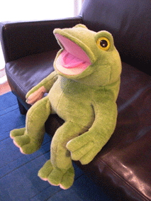 やすゆき君がやってきた : 無趣味日和