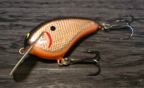 アメリカフラットサイドクランクロンイービー