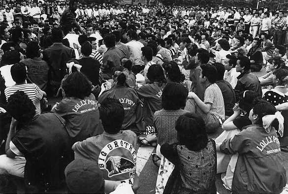 1980年 第2次ロカビリーブーム クリームソーダ ポミロ アメリカ