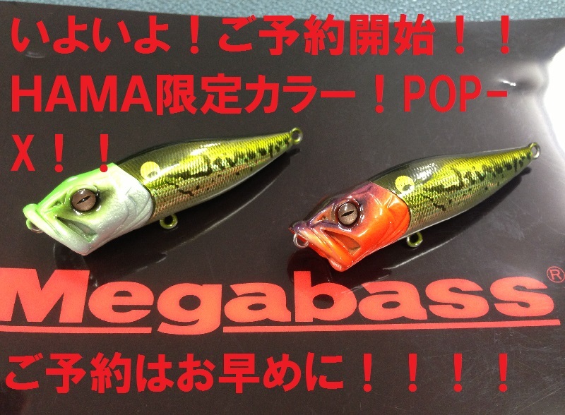 ⑬ メガバス MEGABASS ポップエックス POPX 限定(SP-C) KOGILL