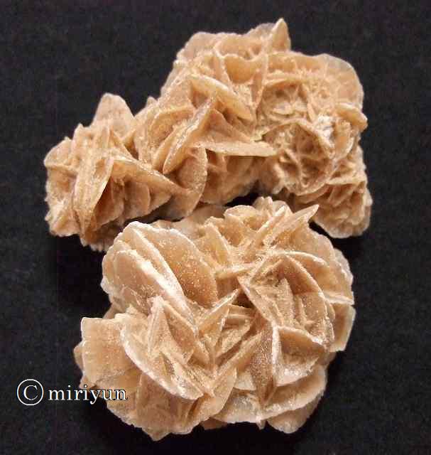 サハラ砂漠の石(薔薇の石) 【公式通販】