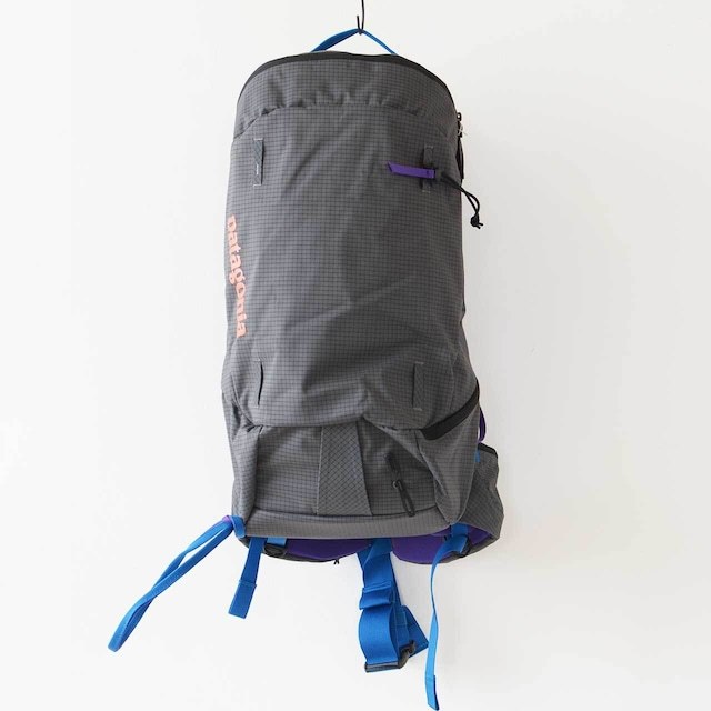 Patagonia [パタゴニア正規代理店] Snowdrifter 20L [48180] スノー