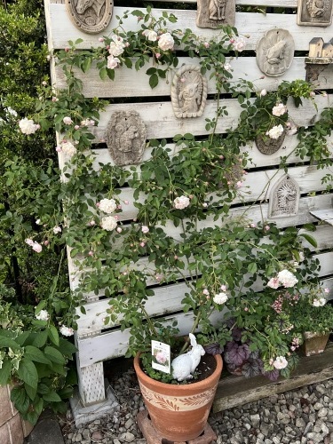 イヤープレート2025 : ゆきなそう 猫とガーデニングの日記