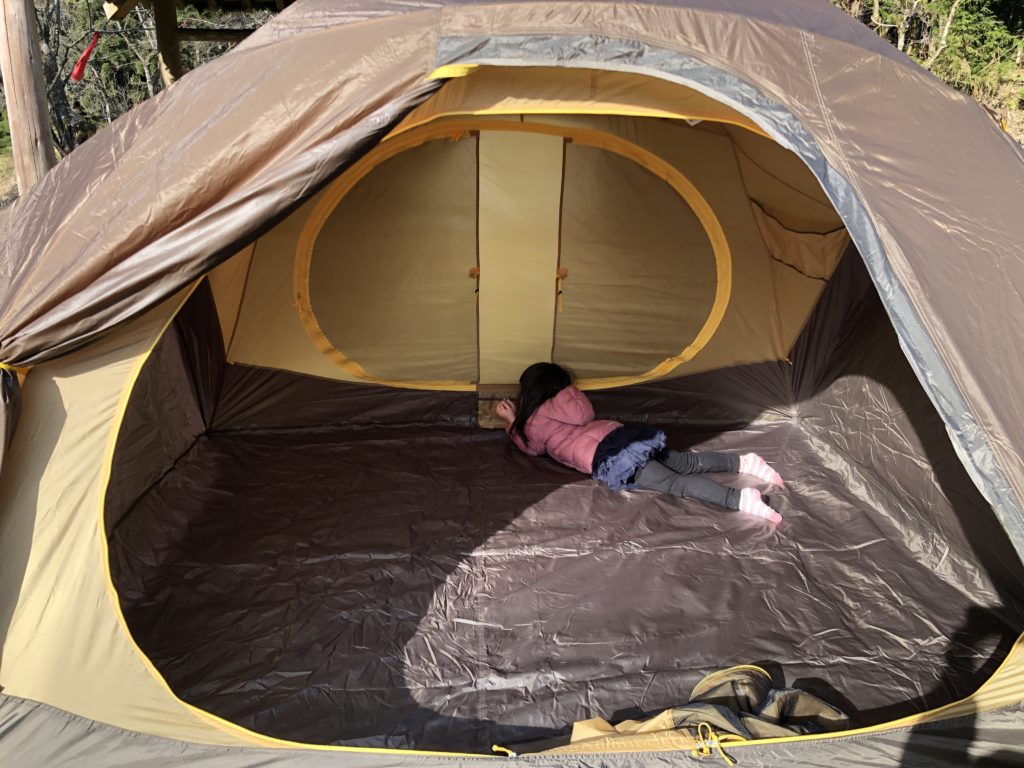 4シーズンテント 軽量 ニーモ ロシストーム4P 購入！ | ぴのままキャンプ