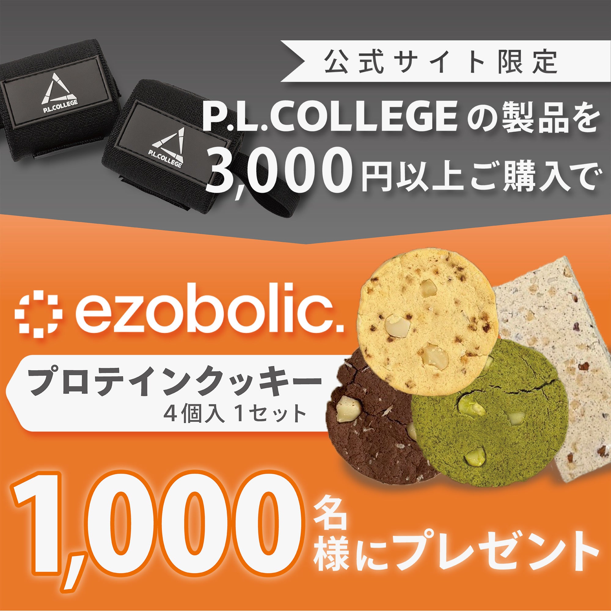 P.L.College-パワーリフティングカレッジ – P.LCollege-パワー