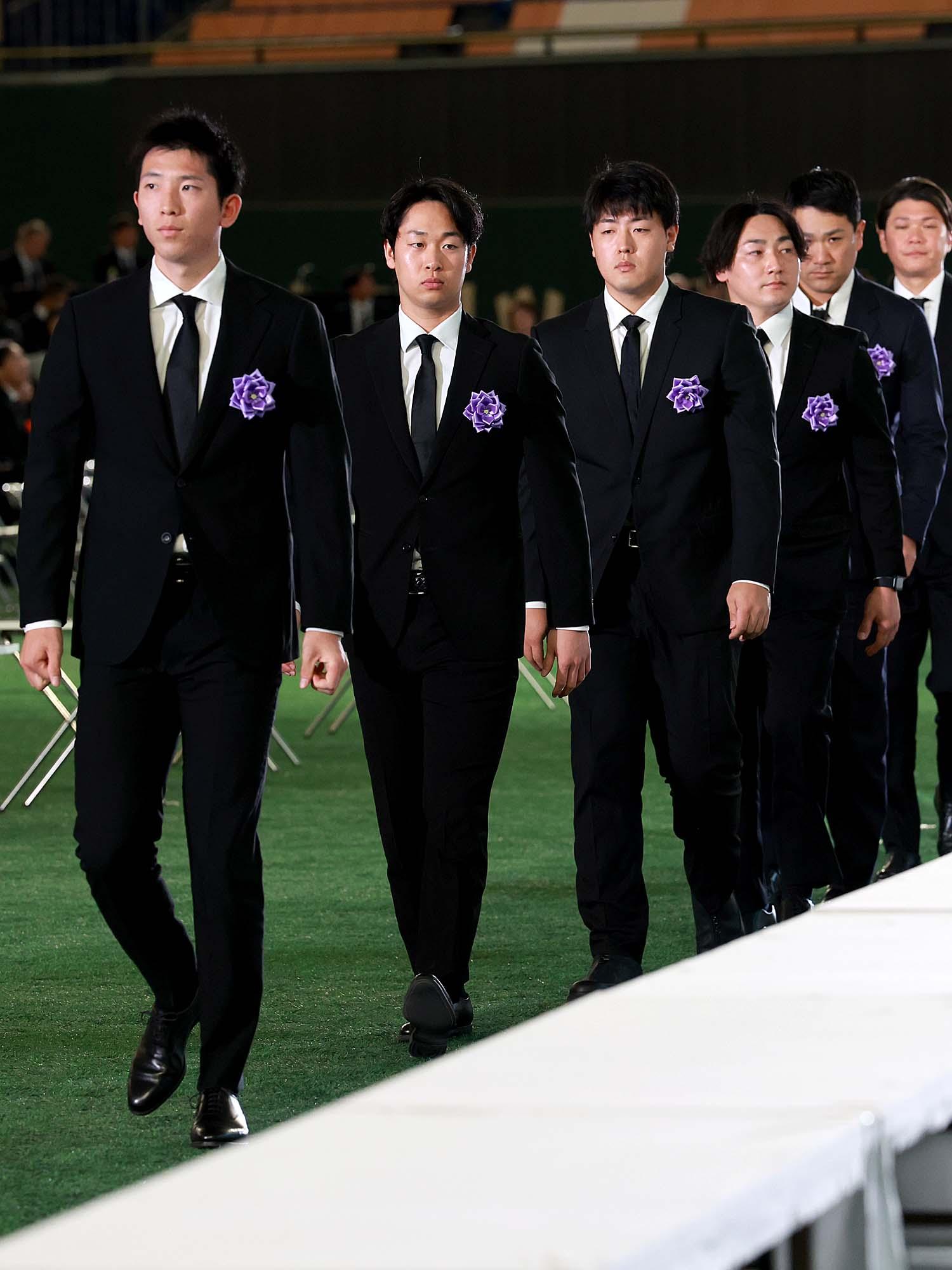 Fmp76bFx3FaRSuJfvfDseF