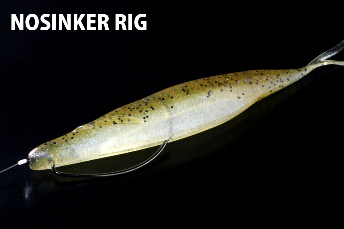 SAKAMATA SHAD | deps OFFICIAL HP | デプス 公式HP