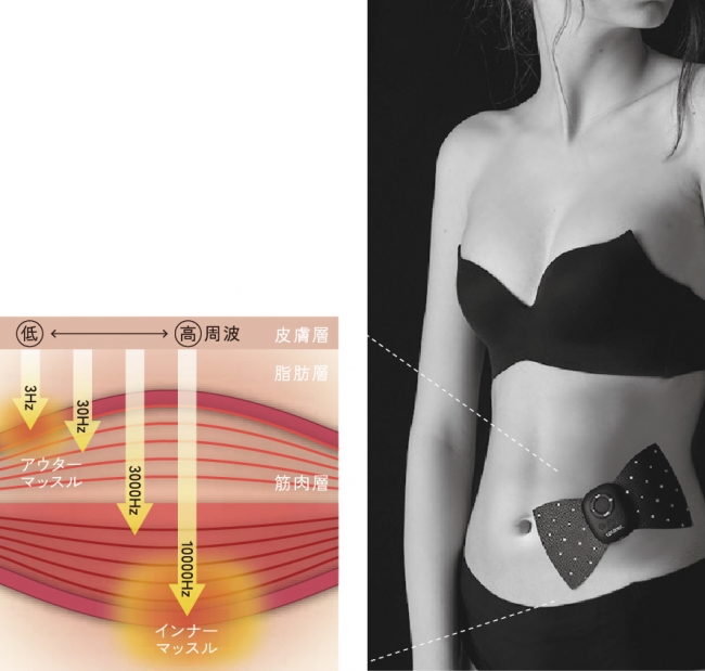 業界初 3Hz/30Hz/3,000Hz/10,000Hz の多彩な刺激で深層筋まで鍛え