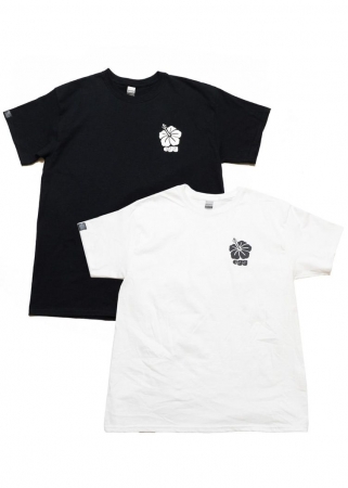 令和egg初のコラボTシャツがSPINNSより発売！！ | 株式会社ヒューマン