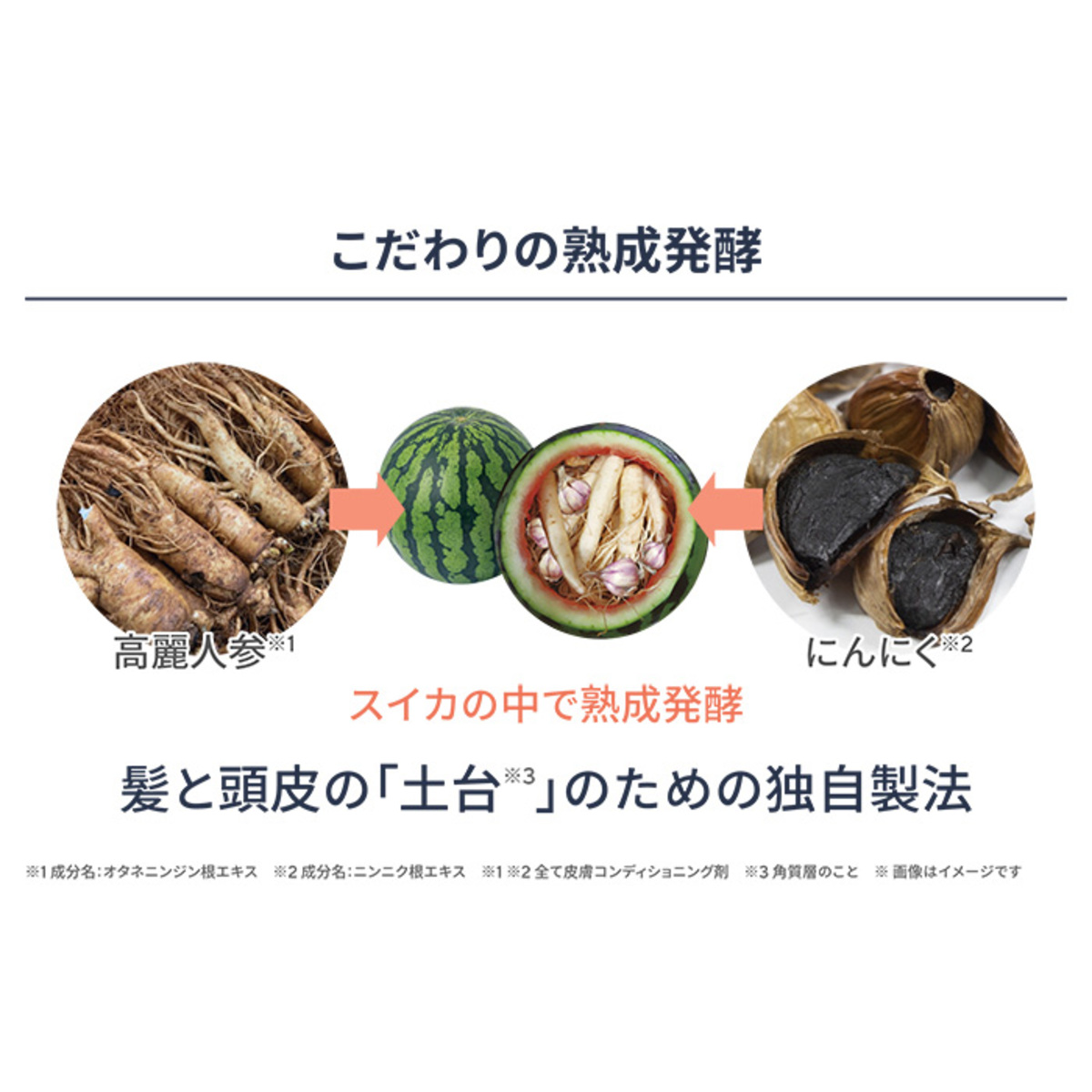 J.avec toi バイタライジングHS-III 3個特別セット ジェイアベック