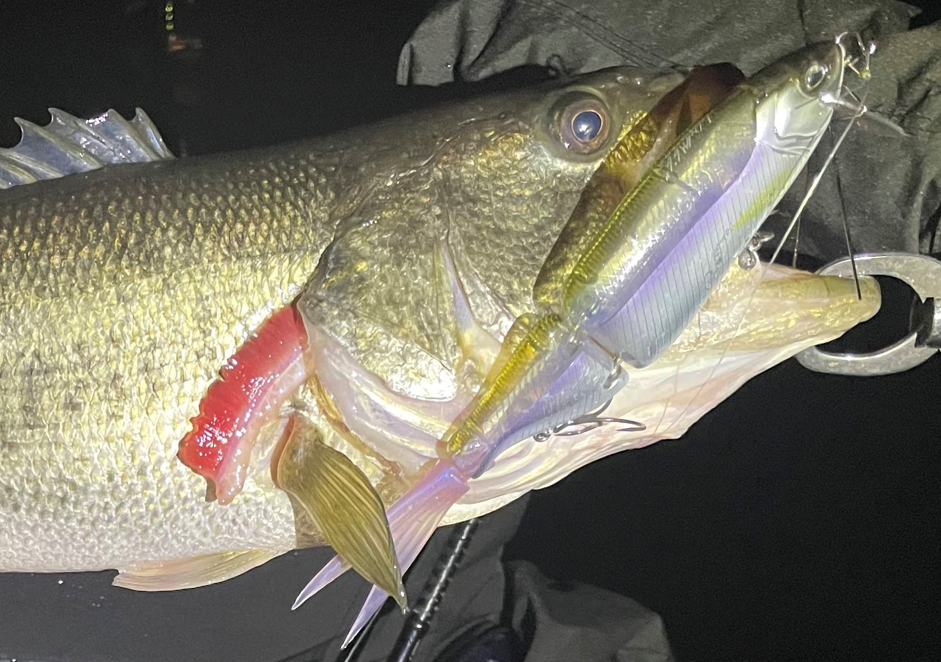 真冬の琵琶湖ナイト！タイニークラッシュでブラックバス50UP | ひろき