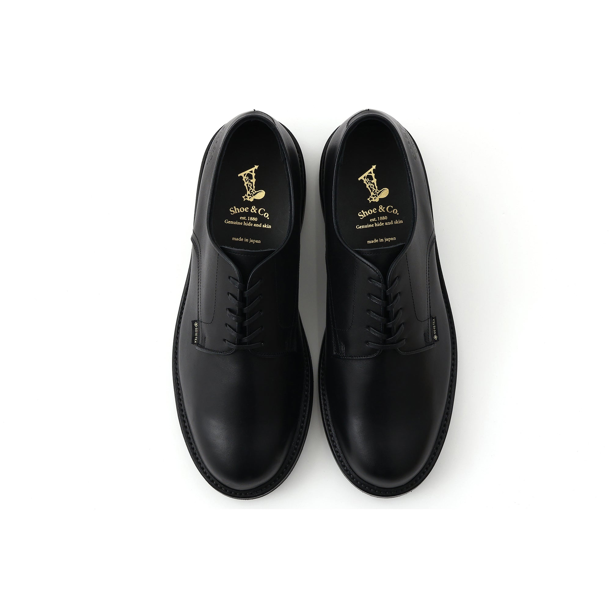 Plain-Toe GTX_Black – REGAL Shoe & Co.