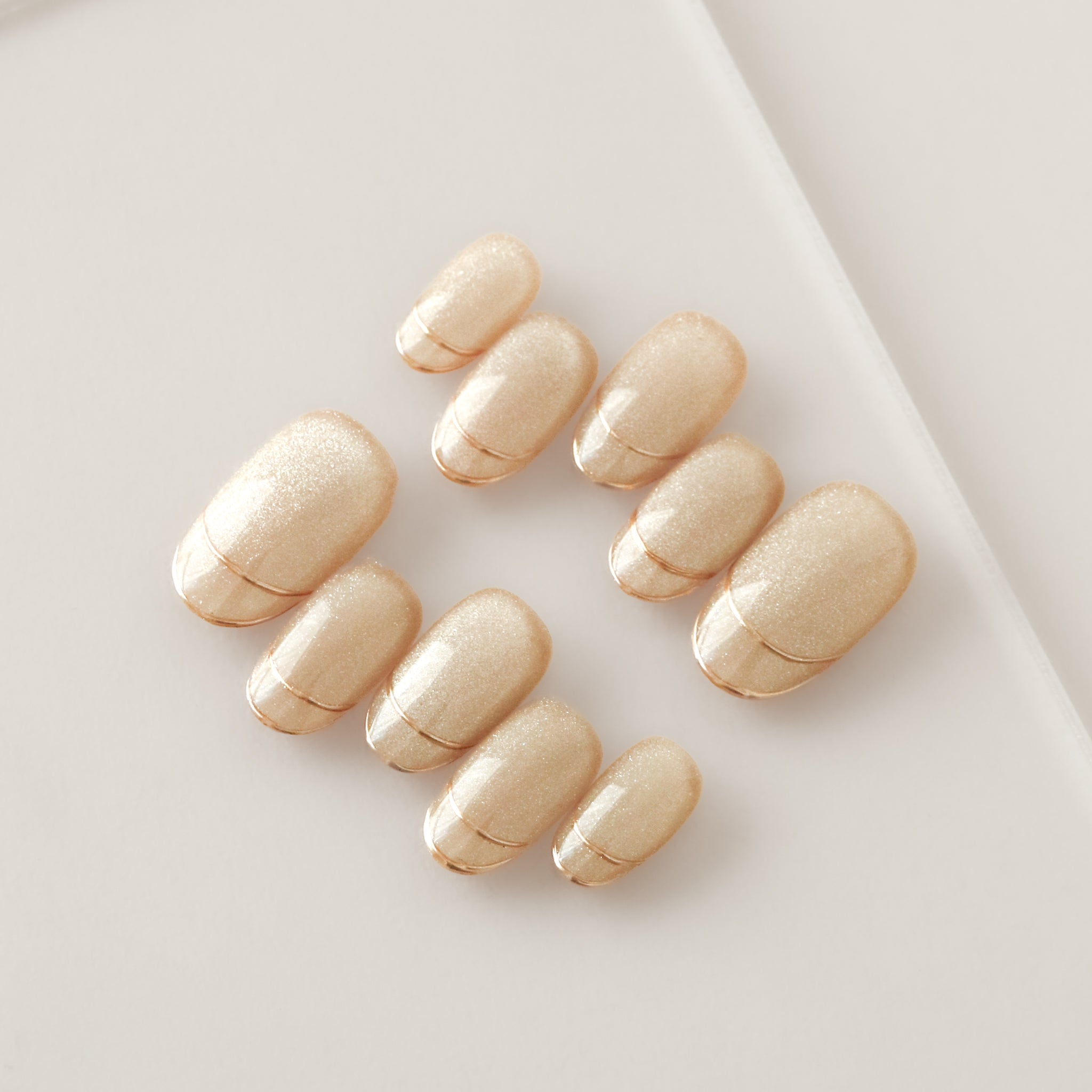 RIPINAIL EVERNAIL ネイルチップ 【公式通販】