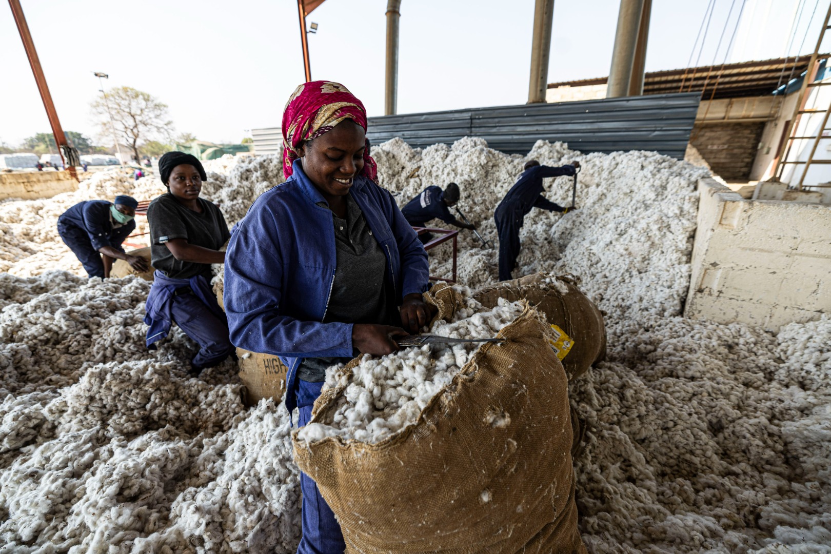 From Zambia, farmers 360° link｜Ron Herman