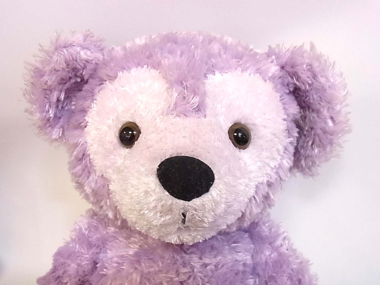 WDWカラーダッフィーミント WDWカラーダッフィーミント WDWカラー