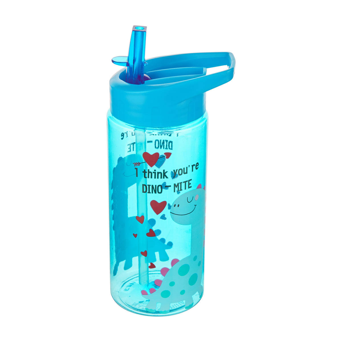 Buy Valentine's Printed Water Bottle, 16 oz - Assorted from Dollar