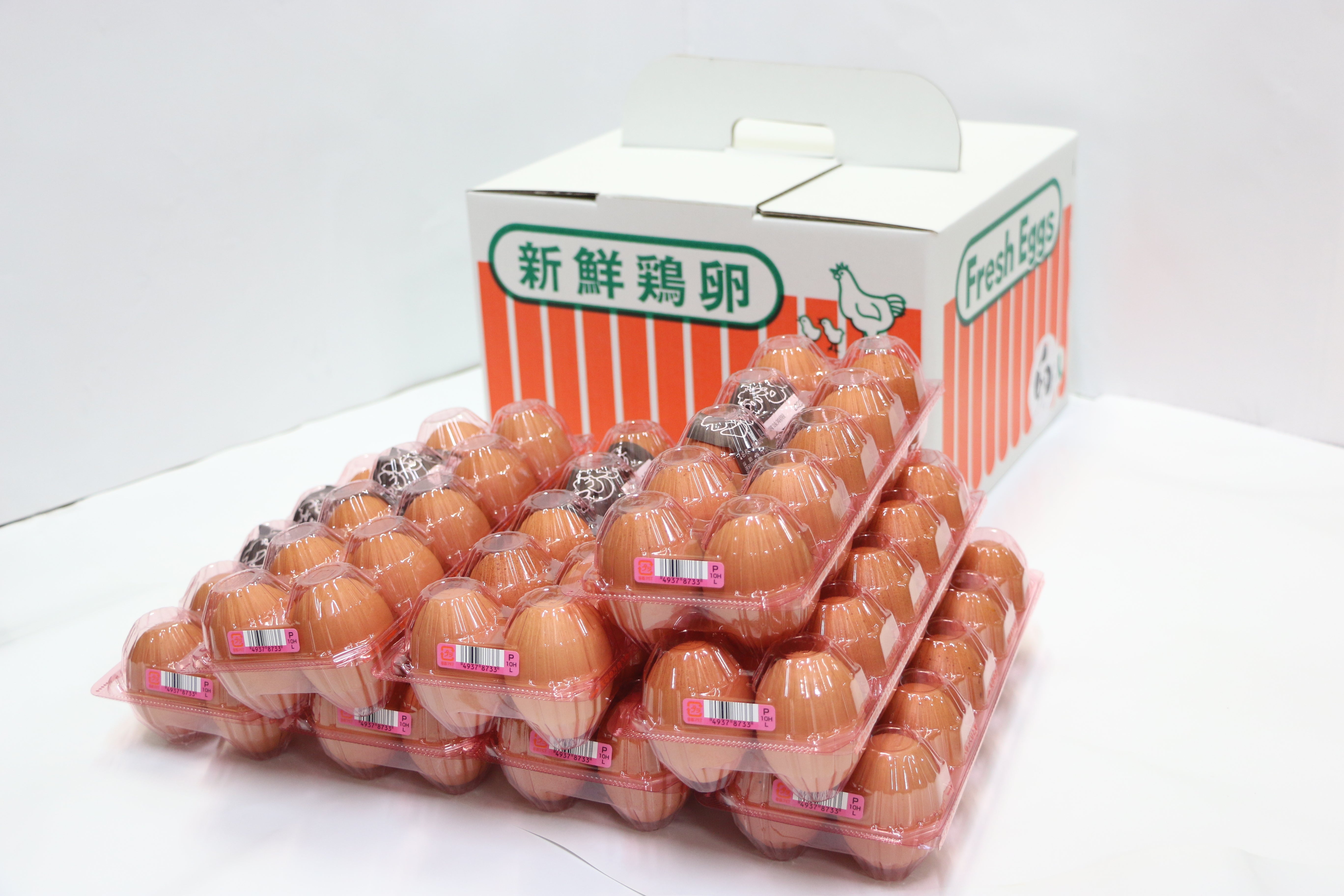 さかもとのたまご 80個 – さかもとのたまご オンラインストア