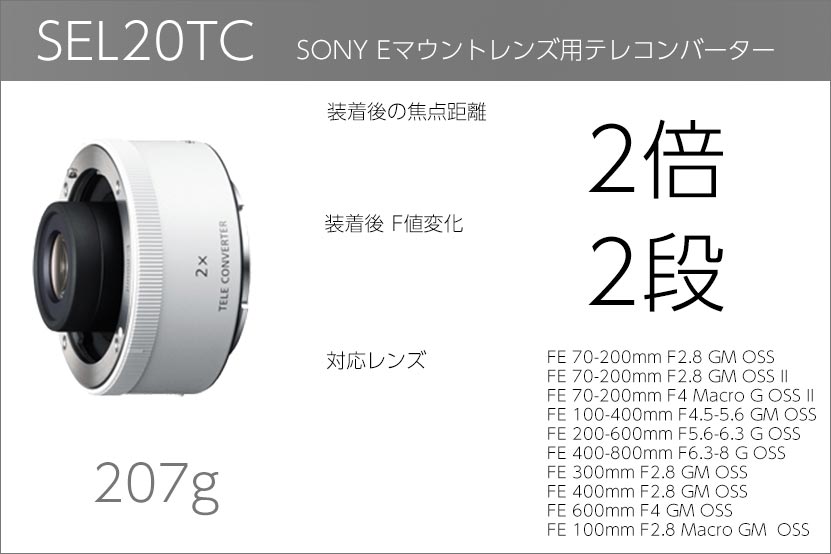 ソニー テレコン レビュー 作例付き 望遠レンズの飛び道具!