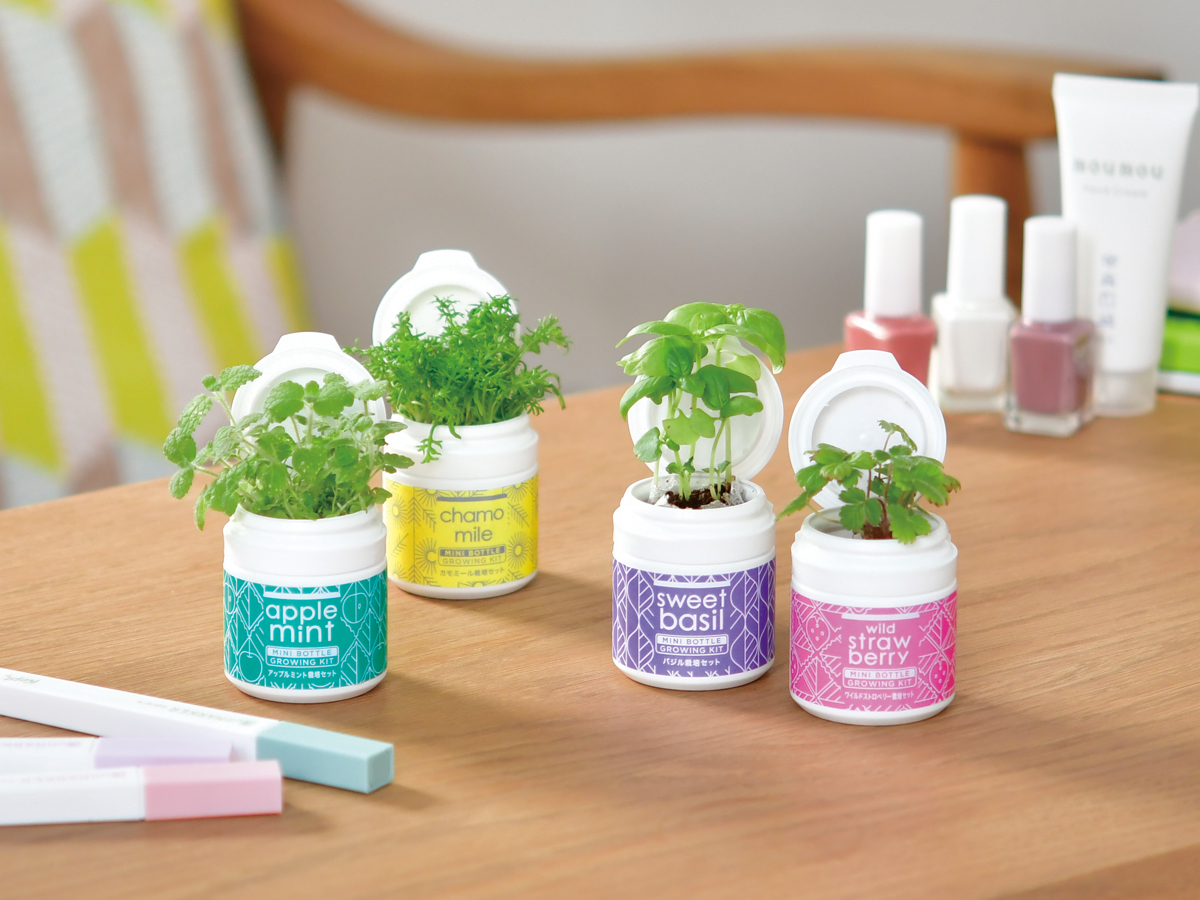 MINI BOTTLE HERBS - 聖新陶芸株式会社｜栽培キットの企画・製造・販売