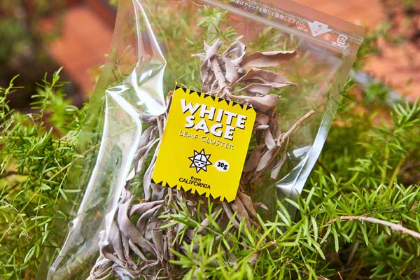 ホワイトセージリーフ – SEY-GEE-HEE