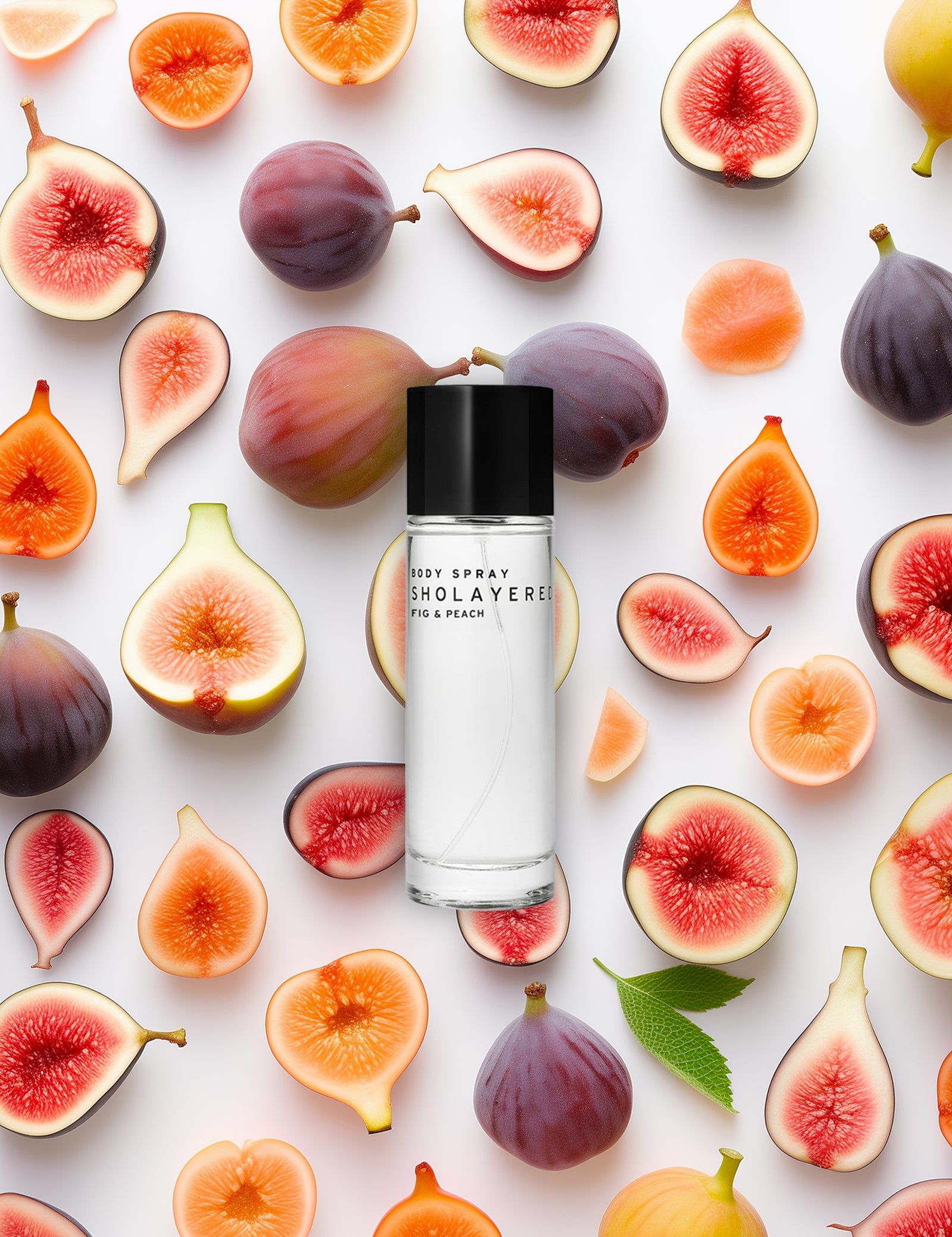 fig1_1600x.jpg?v=1714116515