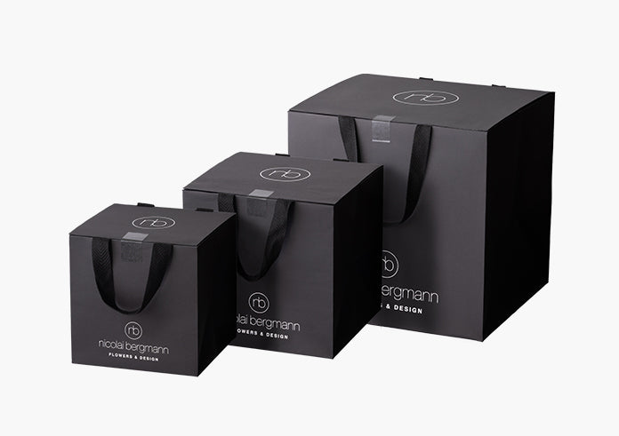 Sky's your Limit（スカイズ ユア リミット）