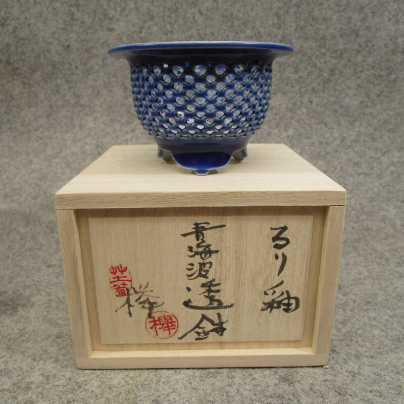 富貴蘭鉢 | 東洋蘭専門店 京都蘭センター｜オンラインショップ