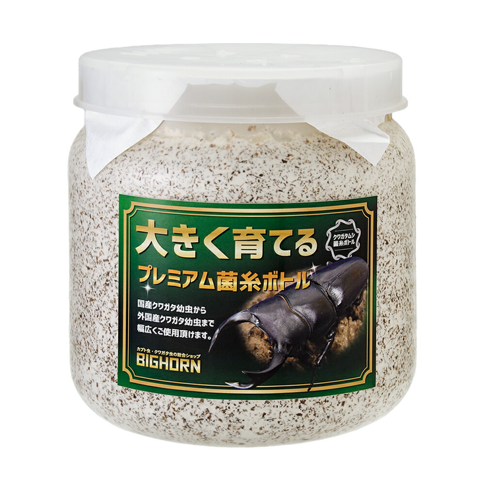 楽天市場】BIGHORN 菌糸ボトル 800CC 5本セット 手詰め 広葉樹 国産