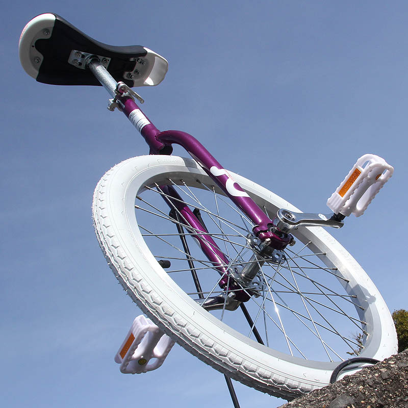 楽天市場】【競技用一輪車】ミヤタエキスパート(20インチ)日本一輪車