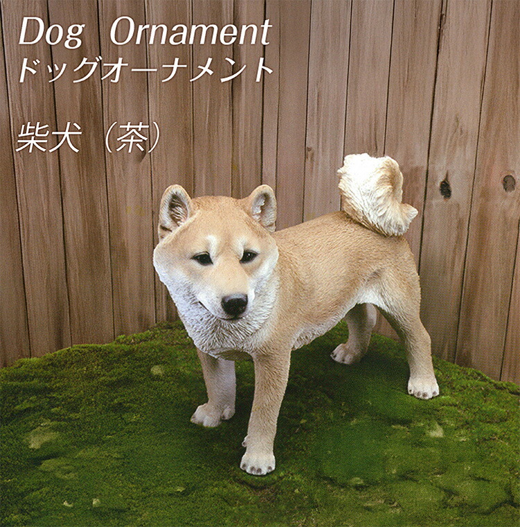 楽天市場】マラソン期間店内商品ポイント最大20倍【送料無料】ドッグ