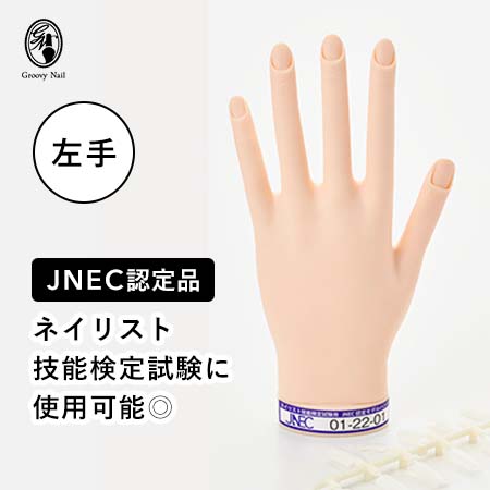 楽天市場】◇JNEC認定 STモデルハンド 右手 チップ差込式(ネイルチップ