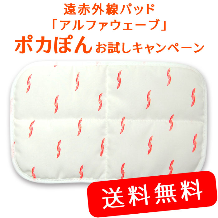 アルファ・ジーニアス 4個セット アポロ αジーニアス （アルファ